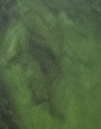 ÇİMEN Gerçek Dokulu Fotoğraf ve Video Zemini ( Rulolanabilir Ürün )