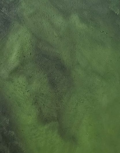ÇİMEN Gerçek Dokulu Fotoğraf ve Video Zemini ( Rulolanabilir Ürün )